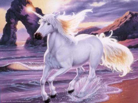 unicorn767677.jpg